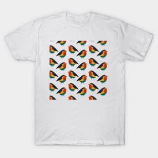 Colorful cute chubby pigeon bird pattern design with cream bg T-Shirt